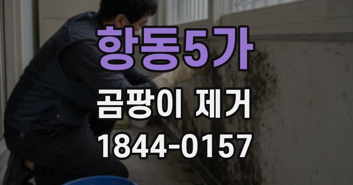 항동5가 곰팡이 제거