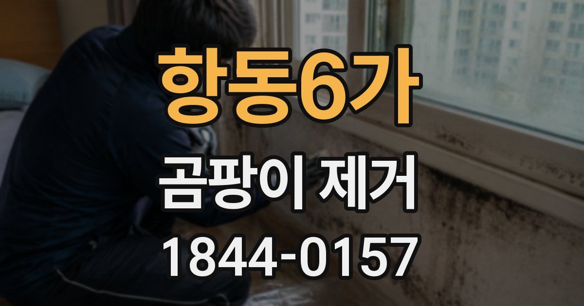 항동6가 곰팡이 제거