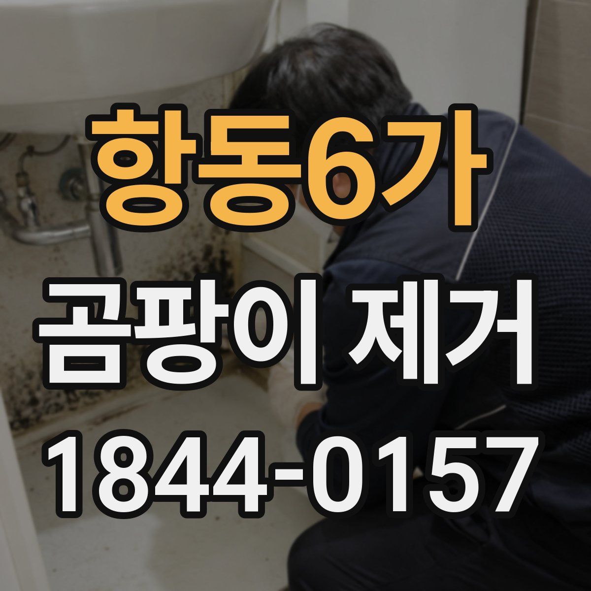 항동6가 곰팡이 제거