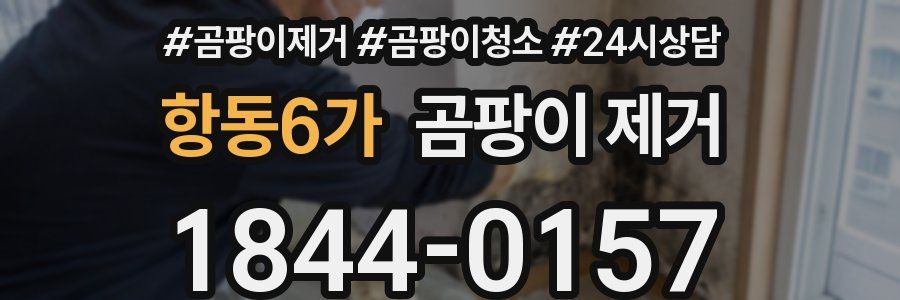 항동6가 곰팡이 제거