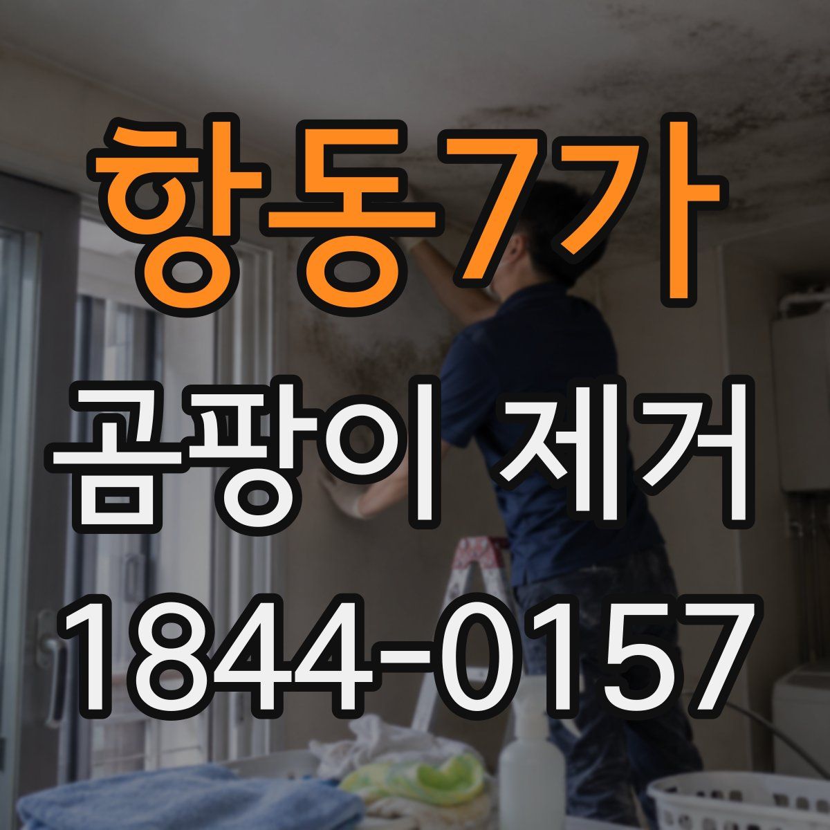 항동7가 곰팡이 제거