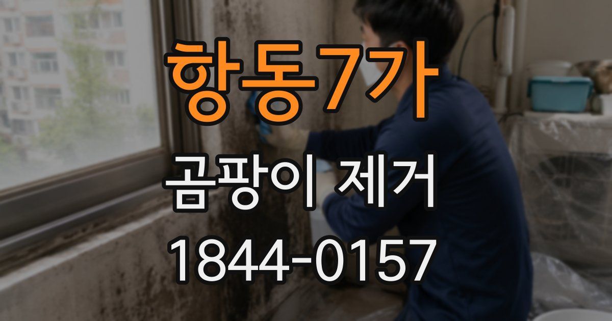 항동7가 곰팡이 제거