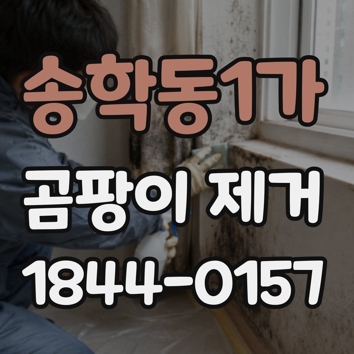 송학동1가 곰팡이 제거 천장 얼룩이 넓어지기 전 확인할 것