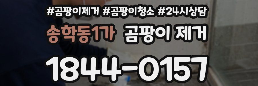 송학동1가 곰팡이 제거