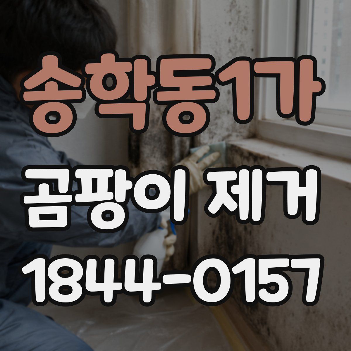 송학동1가 곰팡이 제거