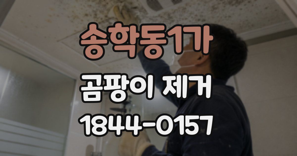 송학동1가 곰팡이 제거