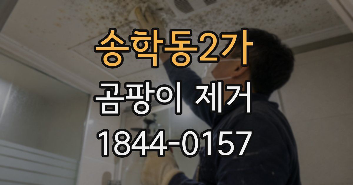 송학동2가 곰팡이 제거