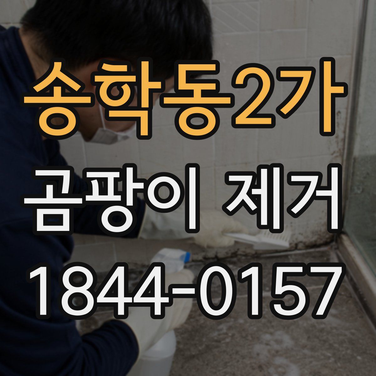 송학동2가 곰팡이 제거