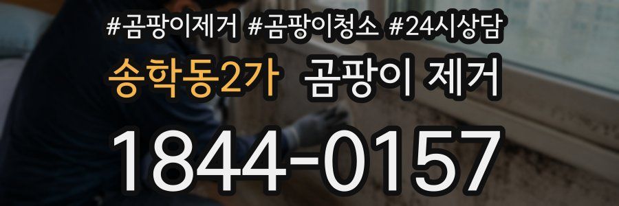 송학동2가 곰팡이 제거