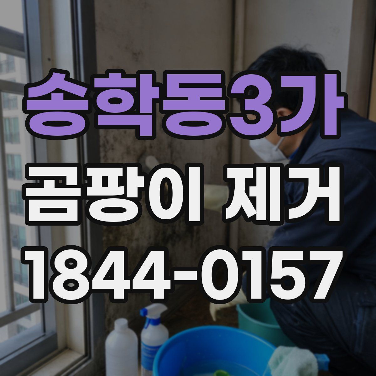 송학동3가 곰팡이 제거