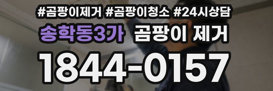 송학동3가 곰팡이 제거