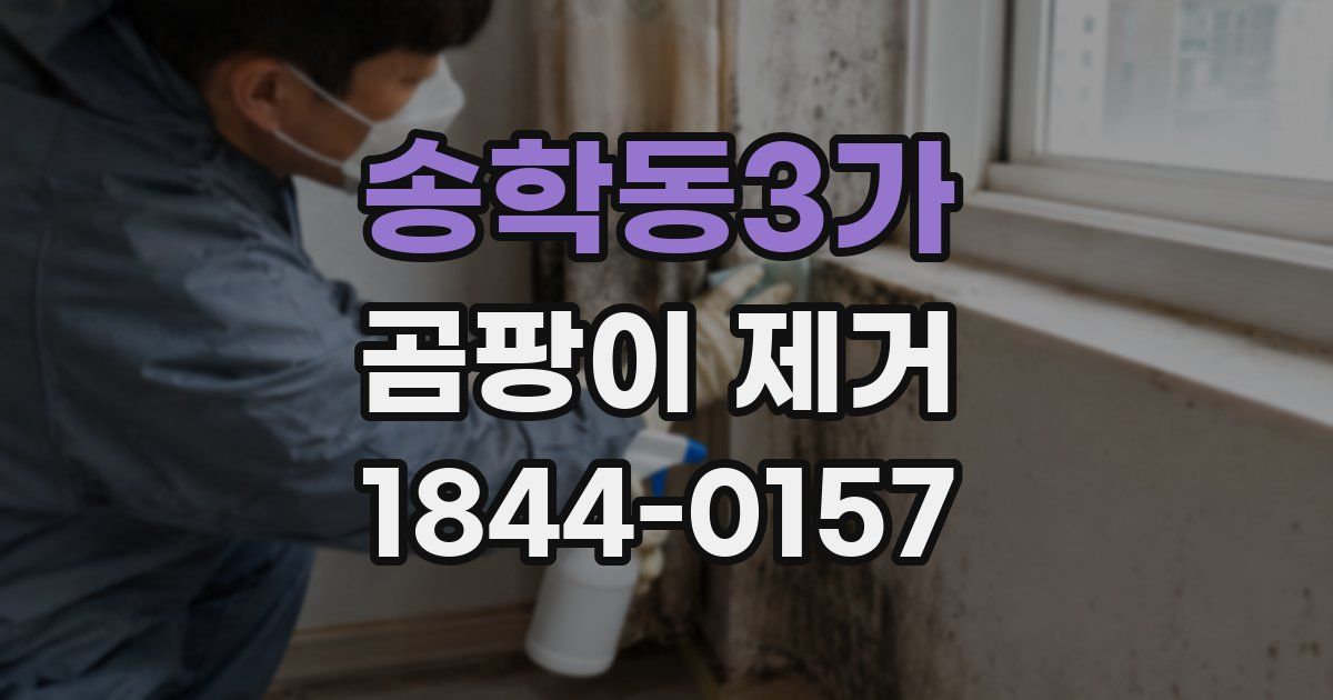 송학동3가 곰팡이 제거