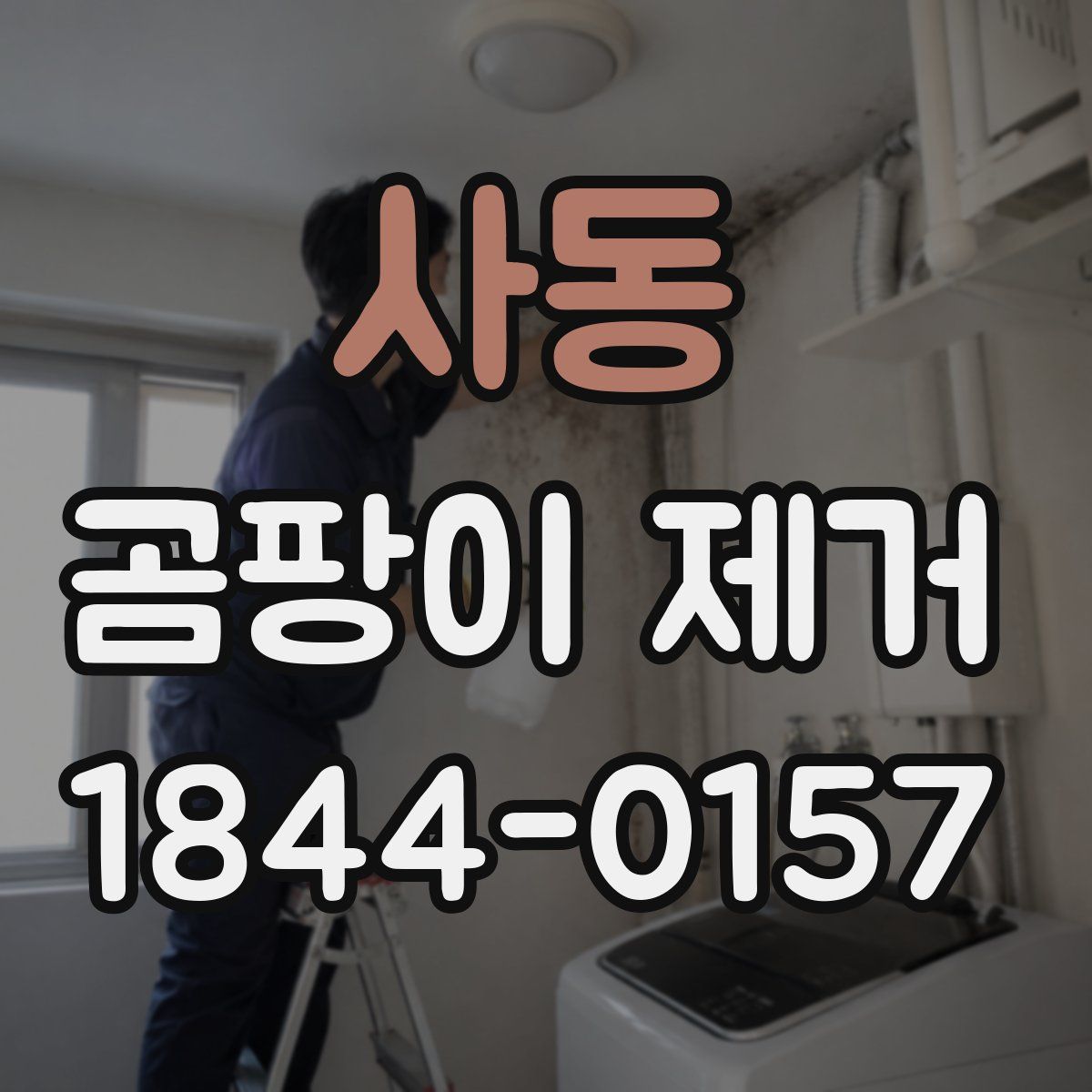 사동 곰팡이 제거