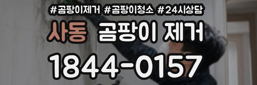 사동 곰팡이 제거