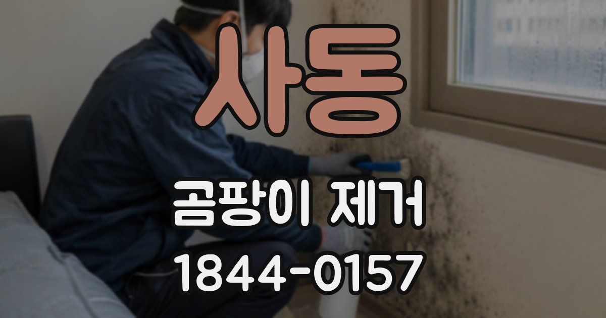 사동 곰팡이 제거
