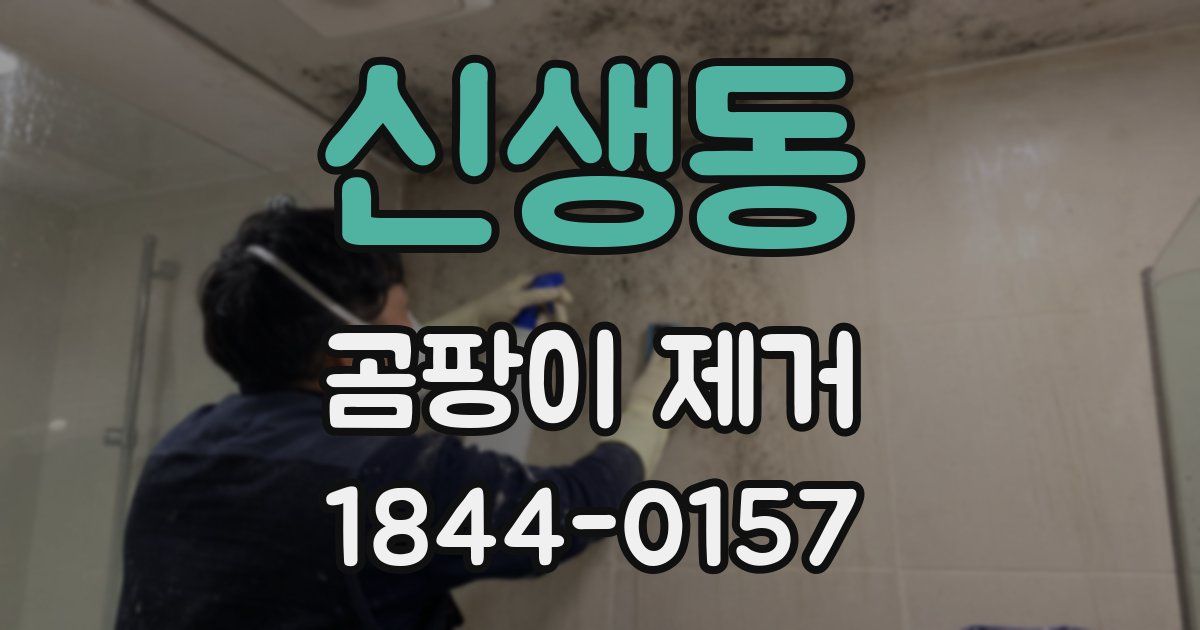 신생동 곰팡이 제거