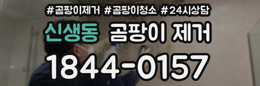 신생동 곰팡이 제거