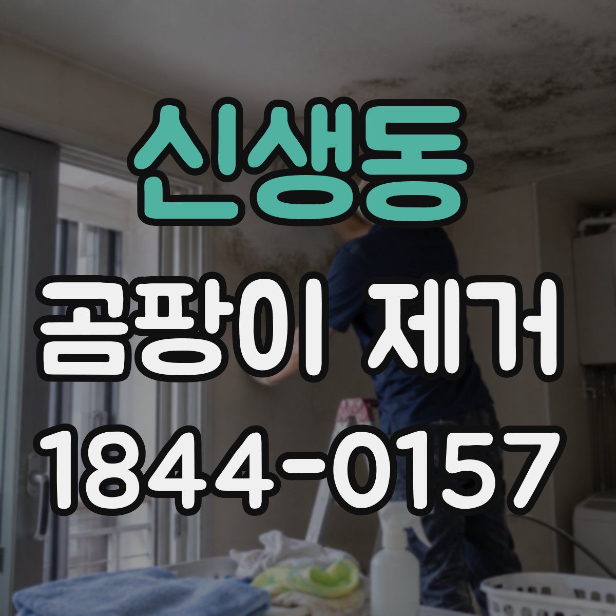 신생동 곰팡이 제거