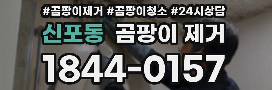 신포동 곰팡이 제거
