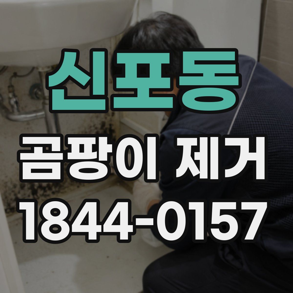 신포동 곰팡이 제거