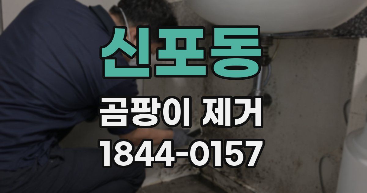 신포동 곰팡이 제거