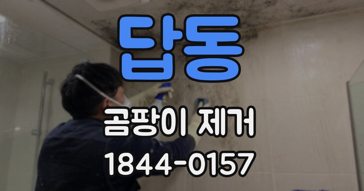 답동 곰팡이 제거