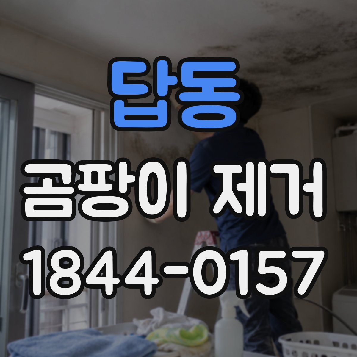 답동 곰팡이 제거