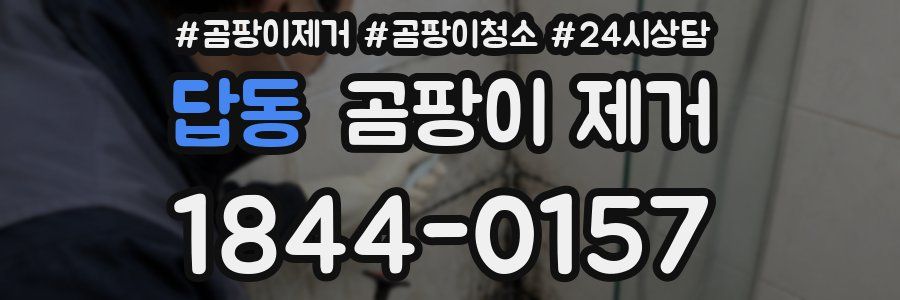 답동 곰팡이 제거