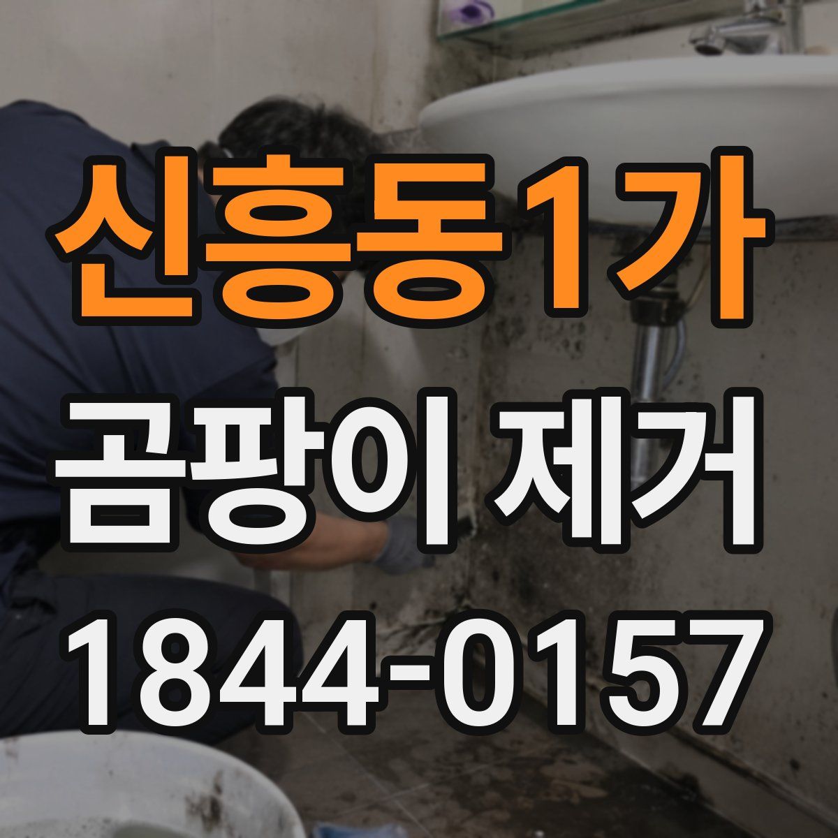 신흥동1가 곰팡이 제거