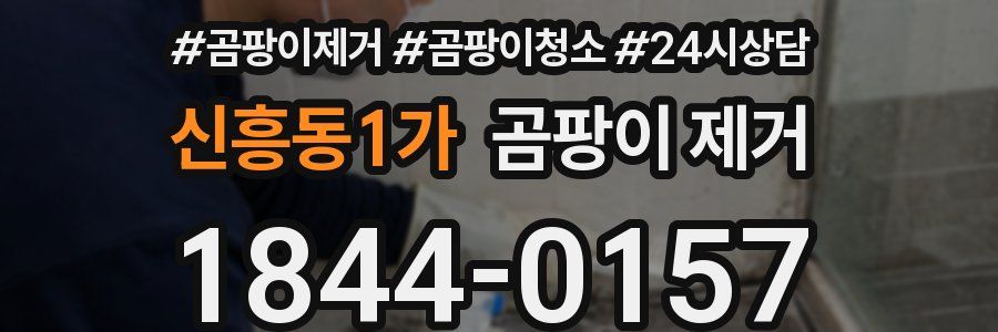 신흥동1가 곰팡이 제거