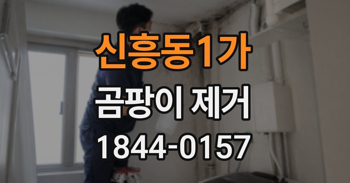 신흥동1가 곰팡이 제거