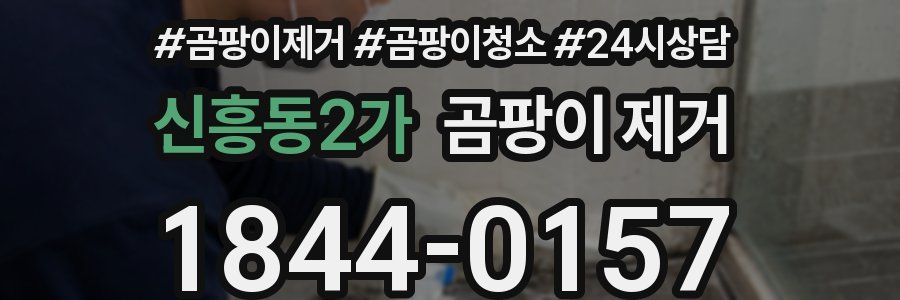 신흥동2가 곰팡이 제거