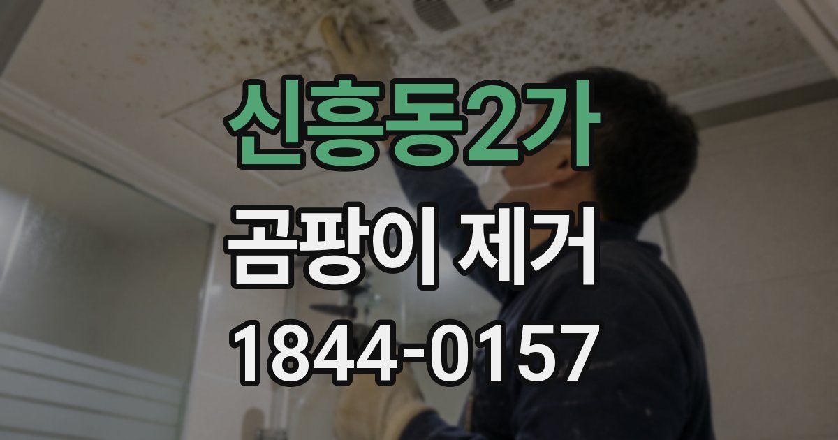신흥동2가 곰팡이 제거