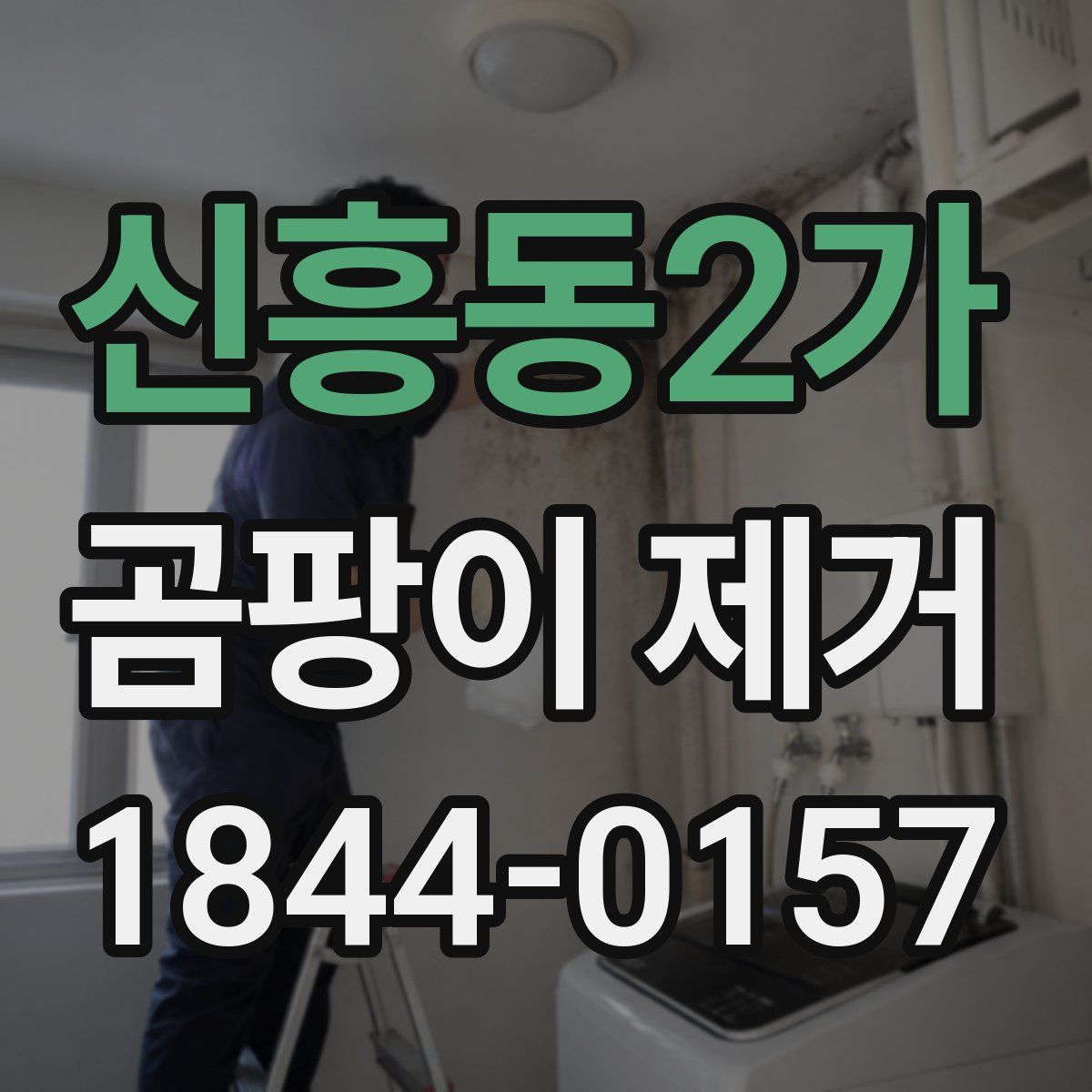 신흥동2가 곰팡이 제거