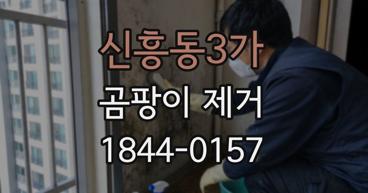 신흥동3가 곰팡이 제거