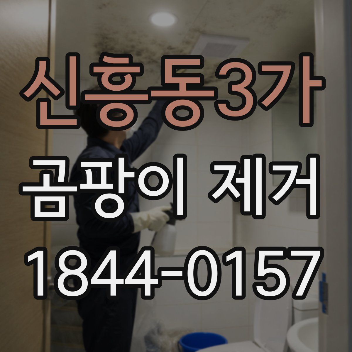 신흥동3가 곰팡이 제거
