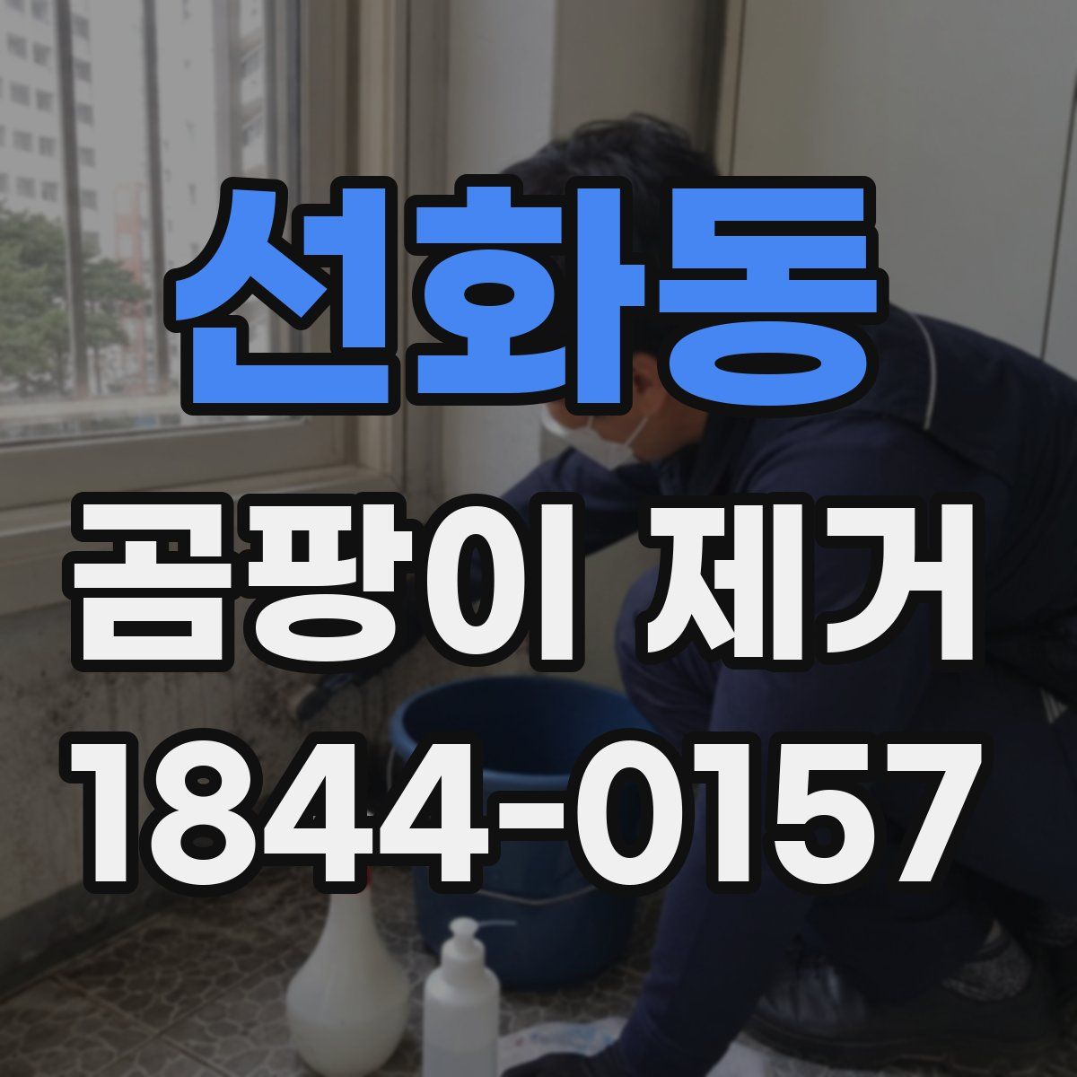선화동 곰팡이 제거