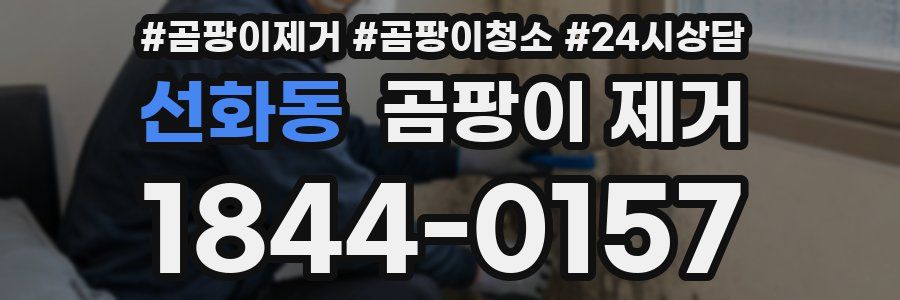 선화동 곰팡이 제거