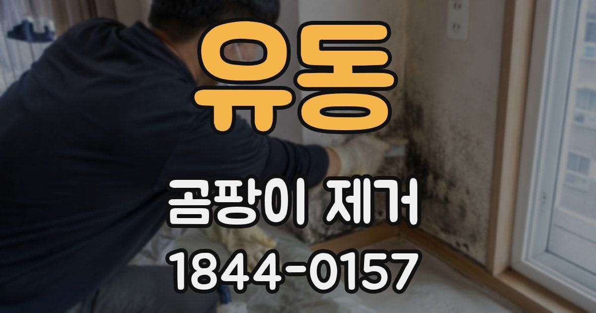 유동 곰팡이 제거