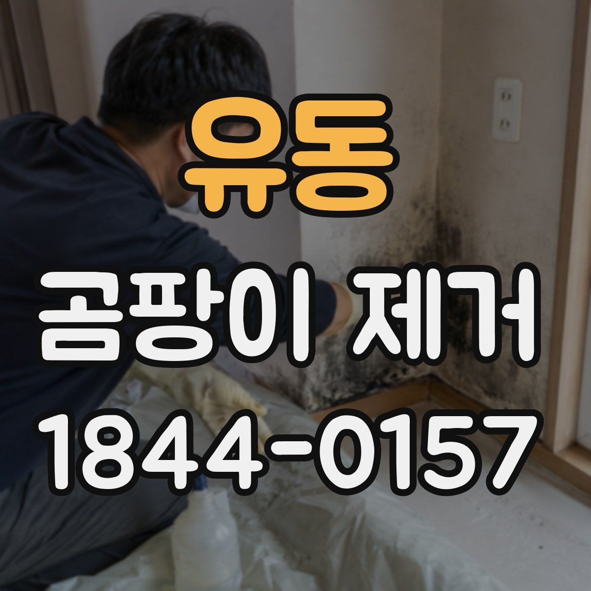 유동 곰팡이 제거