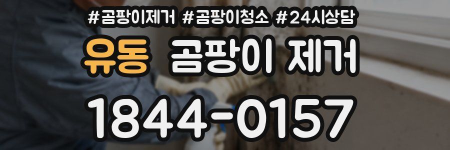 유동 곰팡이 제거