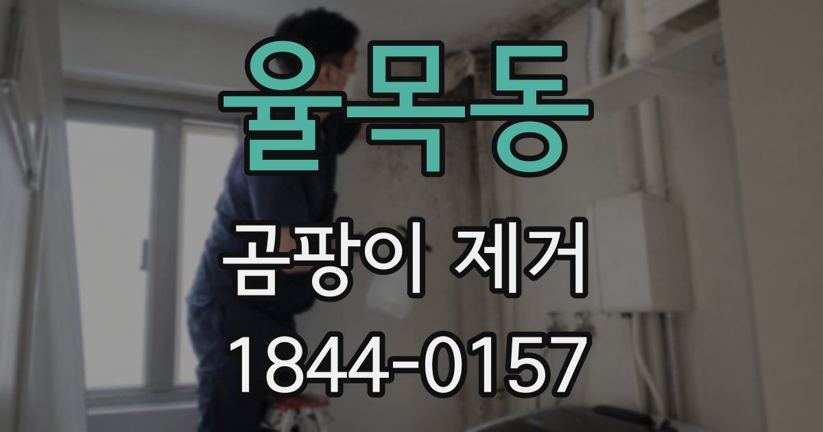 율목동 곰팡이 제거