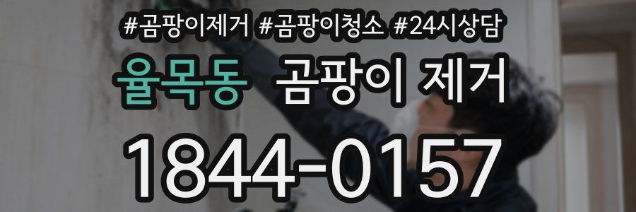 율목동 곰팡이 제거