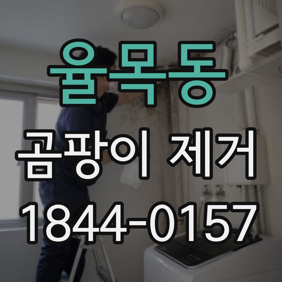 율목동 곰팡이 제거