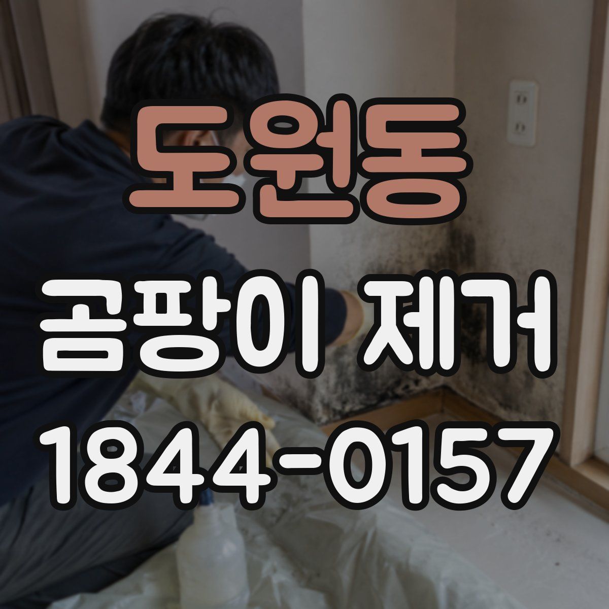 도원동 곰팡이 제거