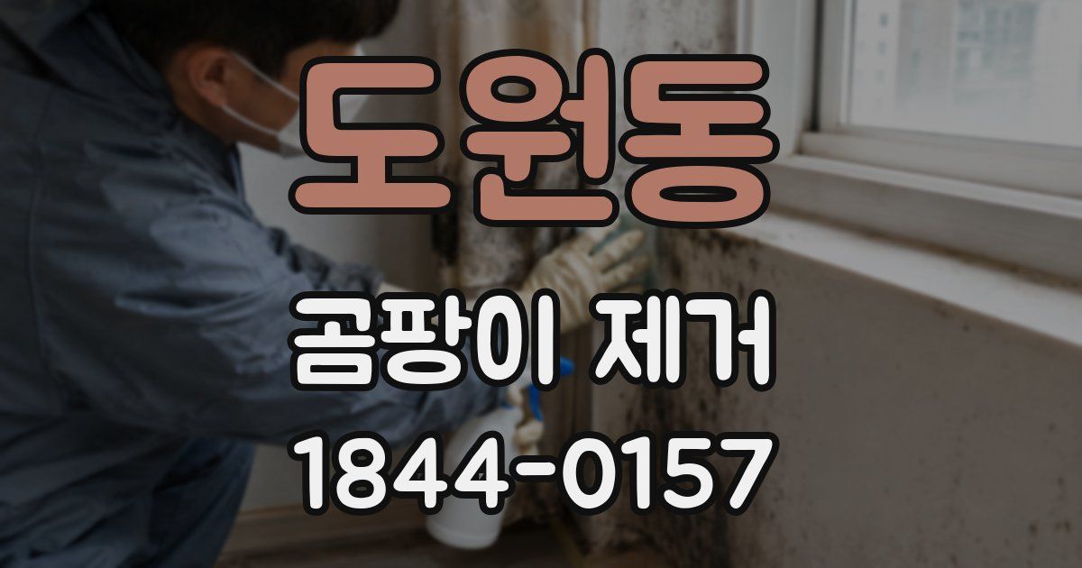 도원동 곰팡이 제거