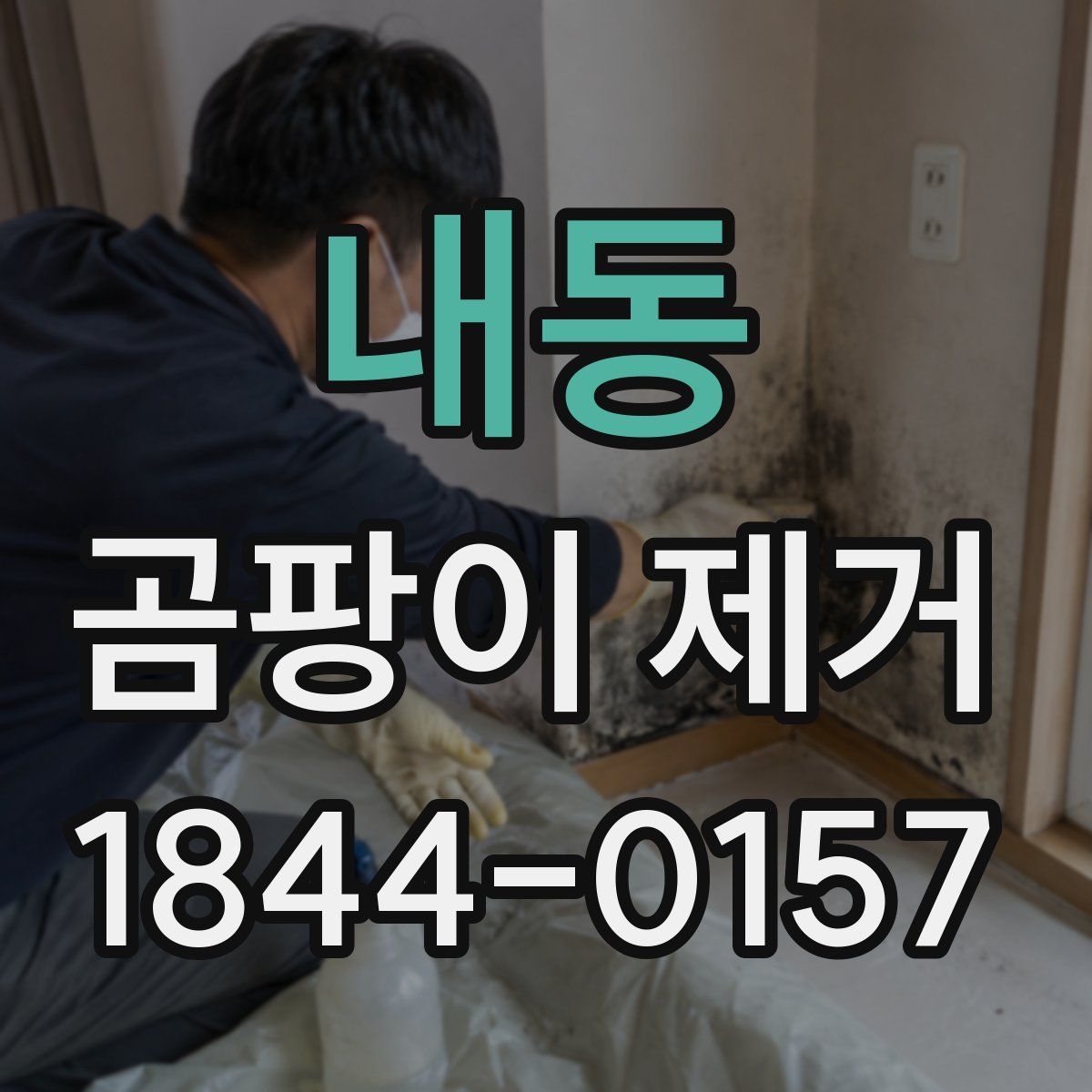 내동 곰팡이 제거