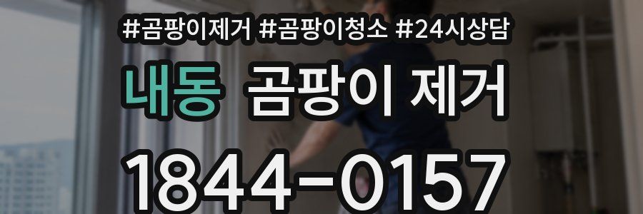 내동 곰팡이 제거