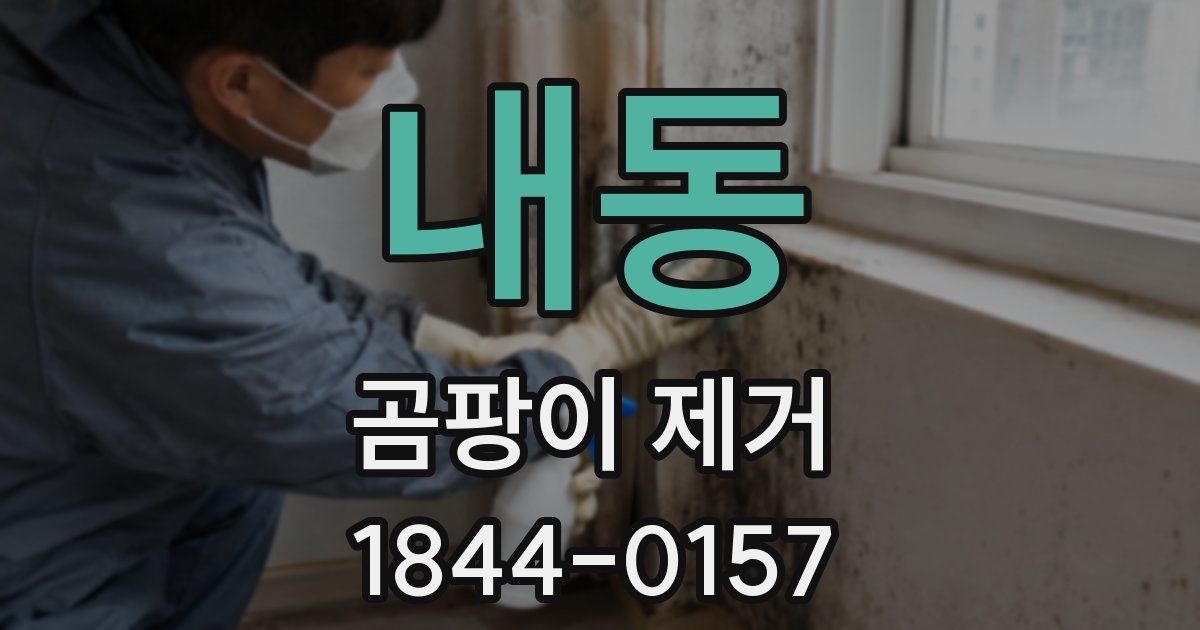 내동 곰팡이 제거
