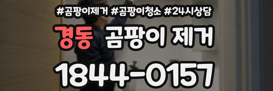 경동 곰팡이 제거